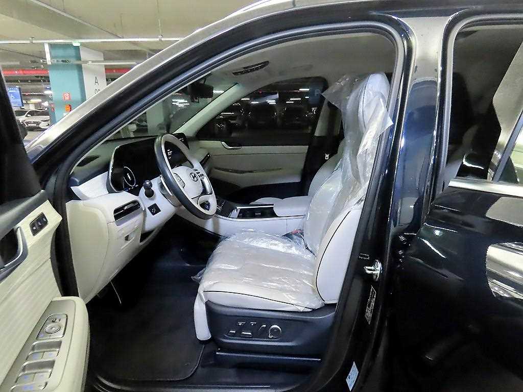 HYUNDAI Palisade - Vista 6