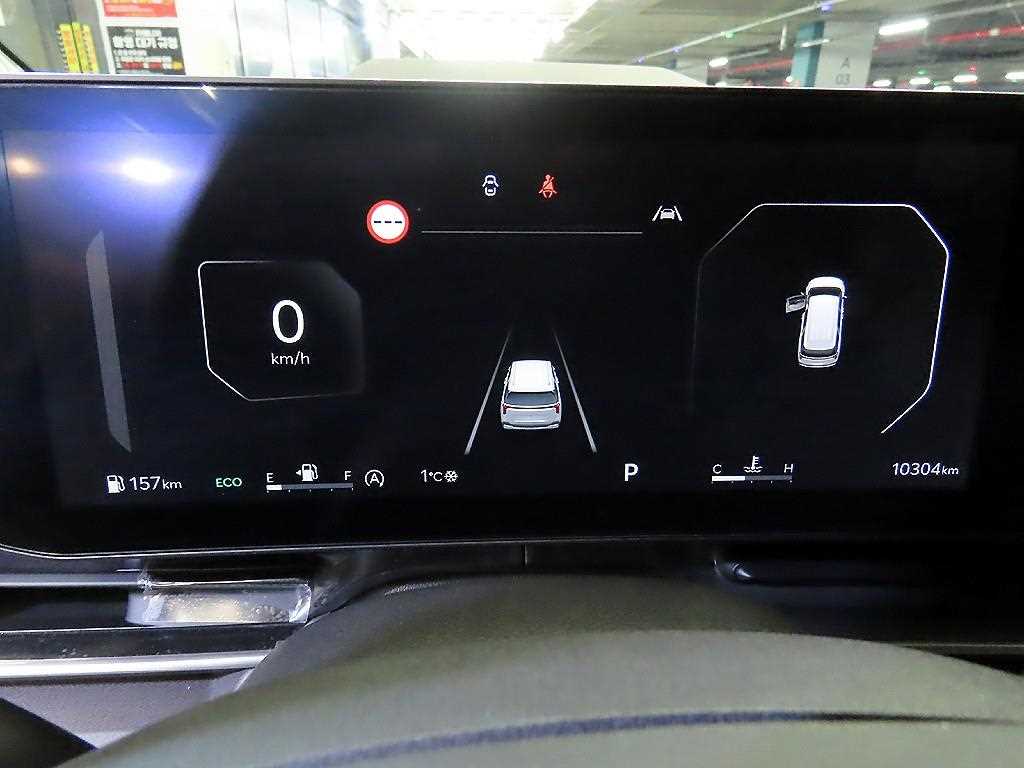 KIA Carnival - Vista 9