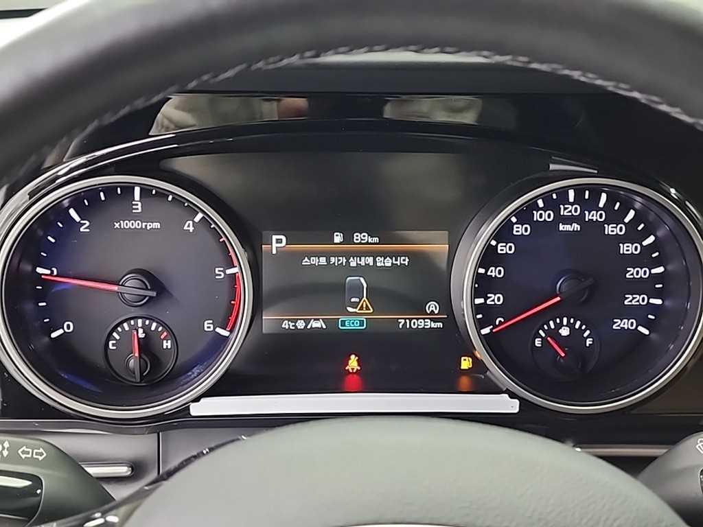 KIA Carnival - Vista 6