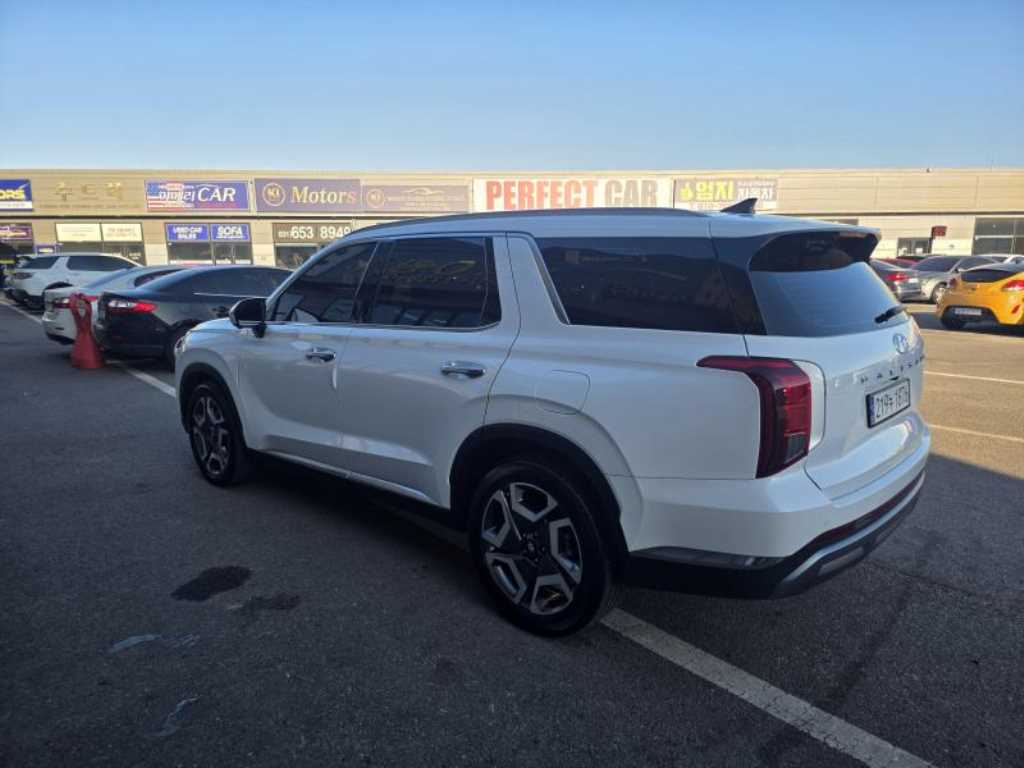 HYUNDAI Palisade - Vista 6