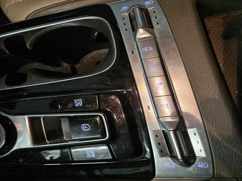 KIA Carnival - Vista 11