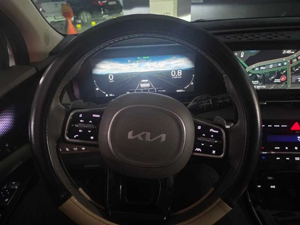 KIA Carnival - Vista 12