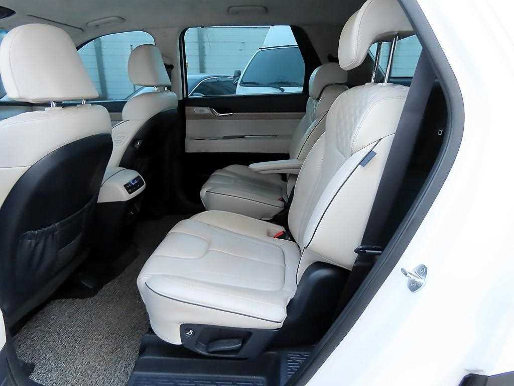 HYUNDAI Palisade - Vista 6