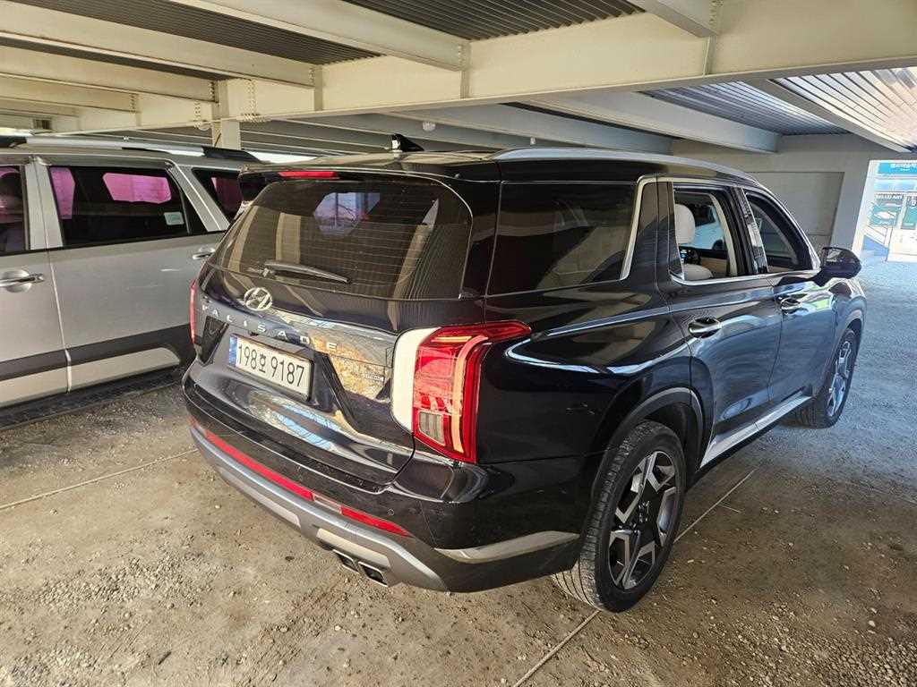 HYUNDAI Palisade - Vista 6