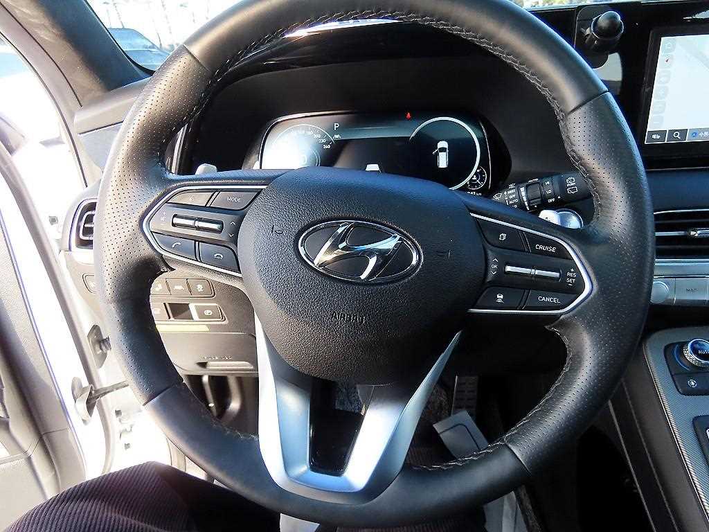 HYUNDAI Palisade - Vista 8