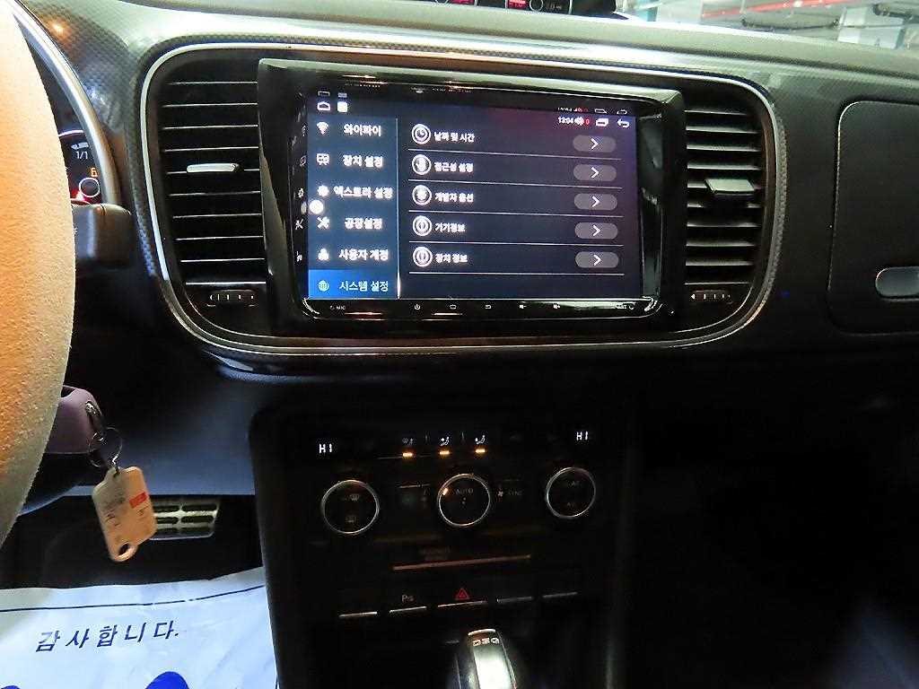 Volkswagen Beetle - Vista 11