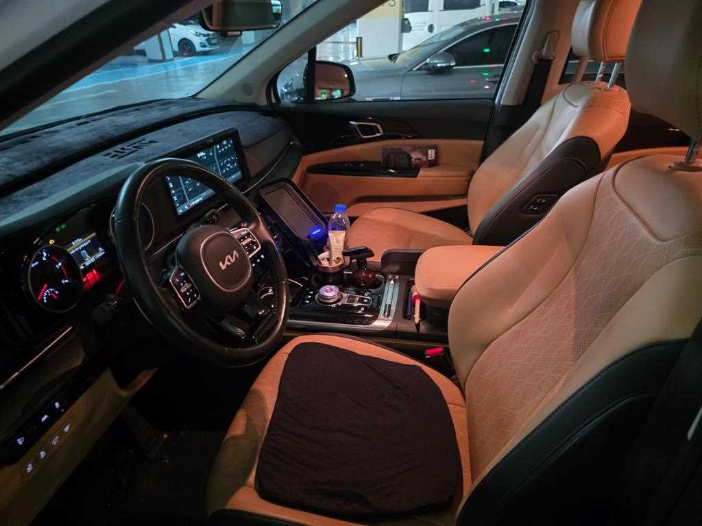 KIA Carnival - Vista 9