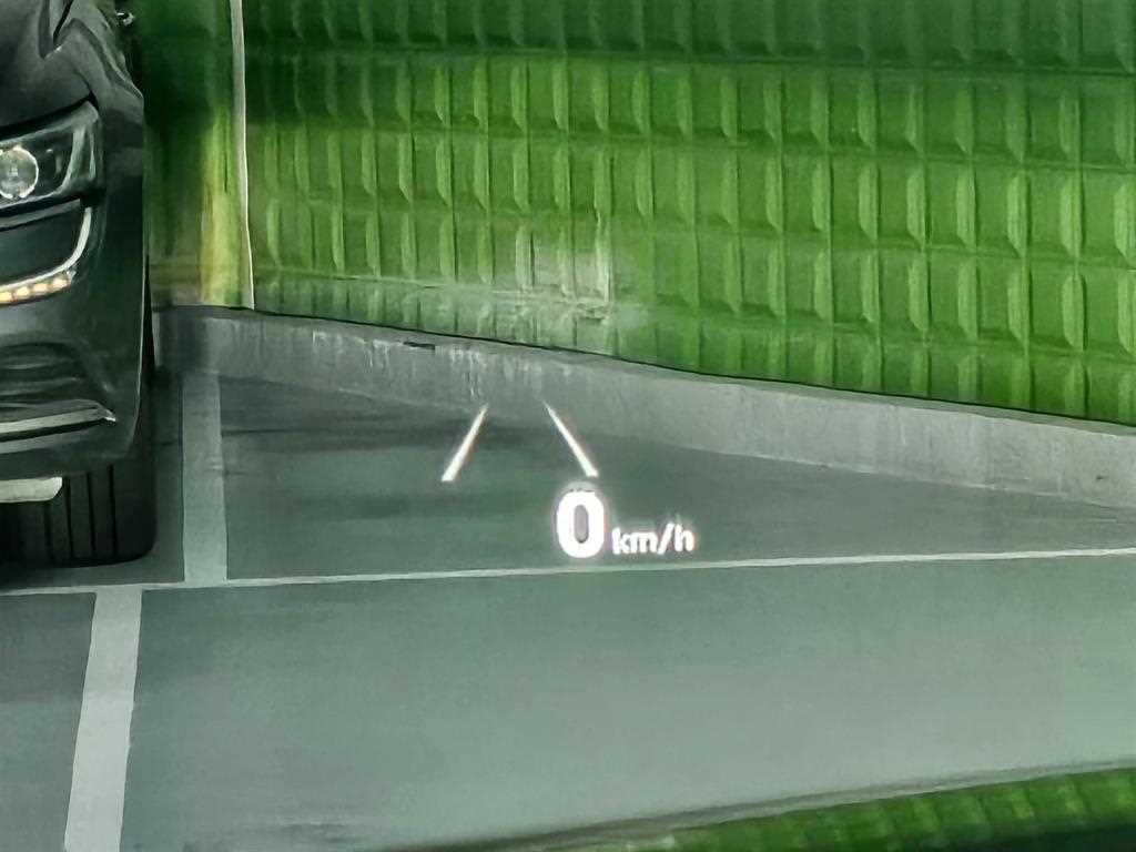 Genesis G90 - Vista 10