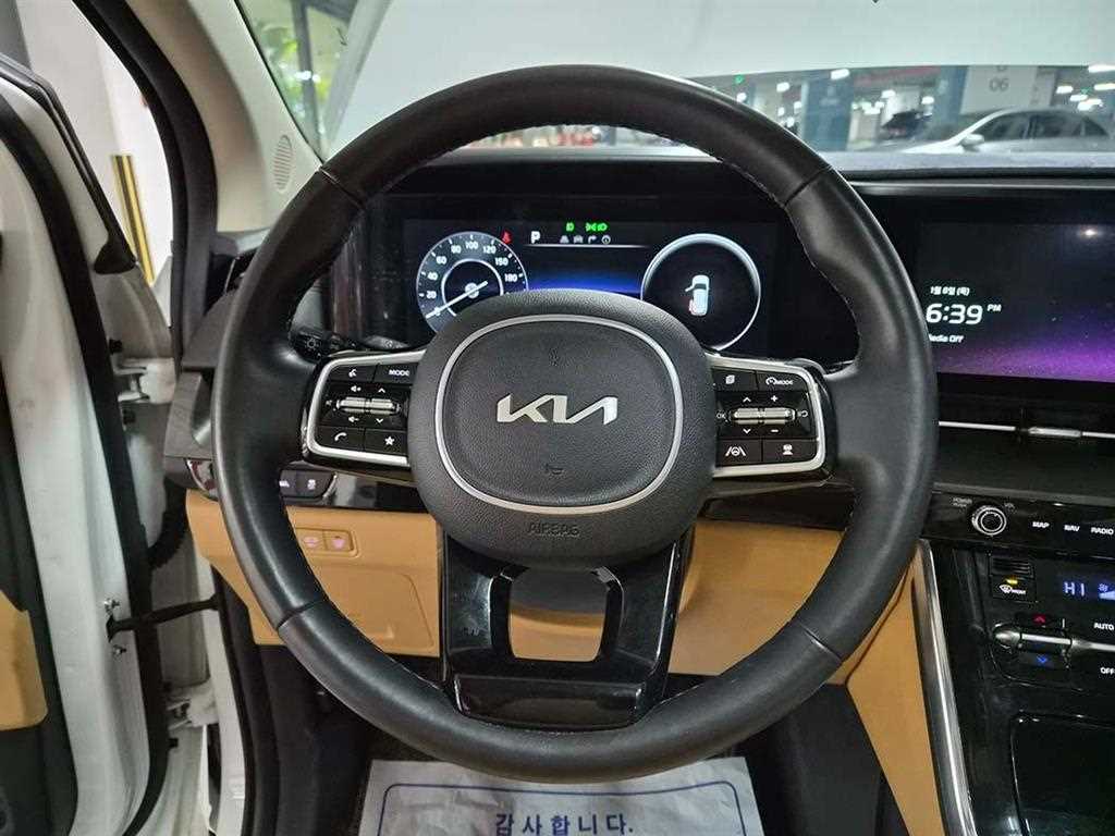 KIA Carnival - Vista 10