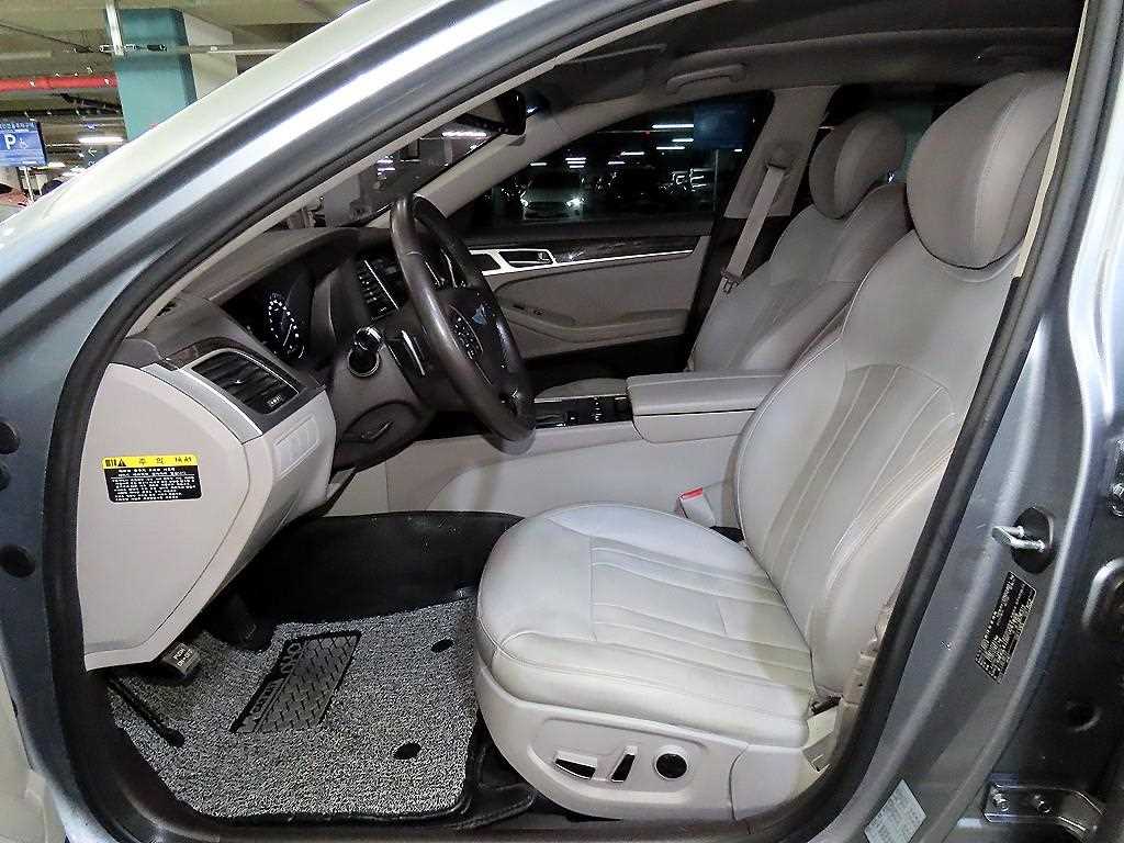 HYUNDAI Genesis - Vista 6
