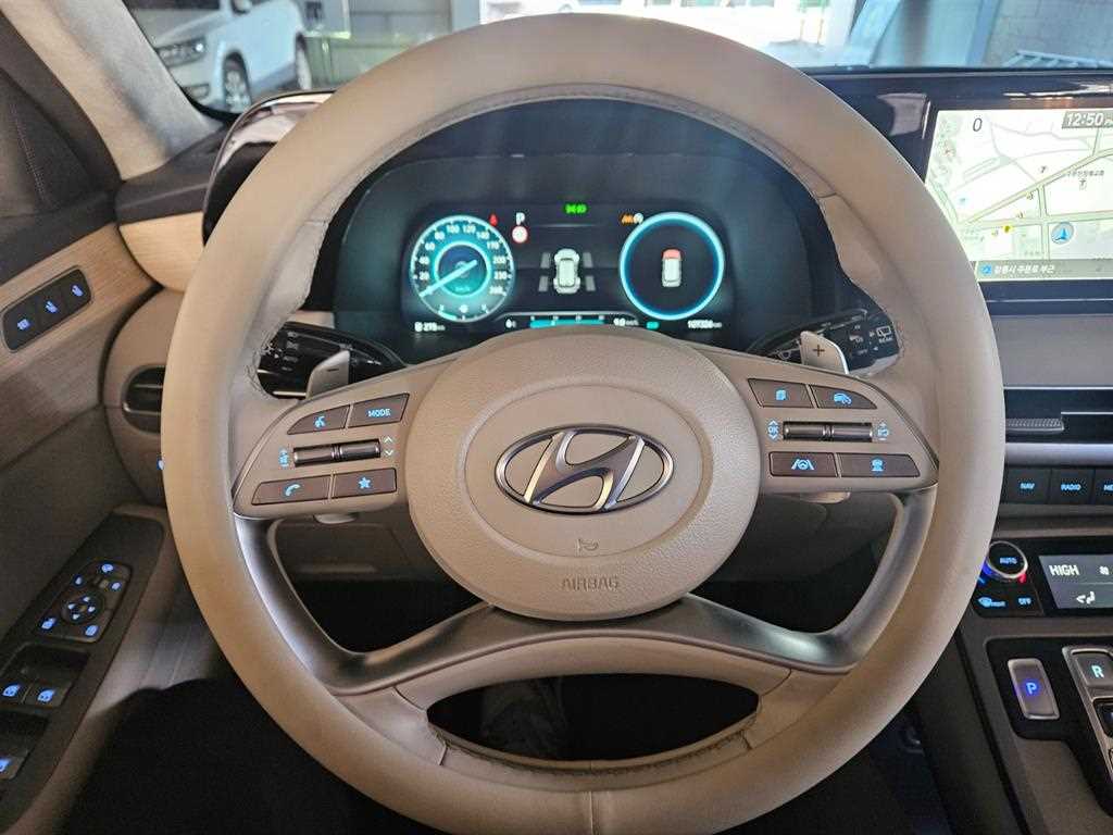 HYUNDAI Palisade - Vista 12