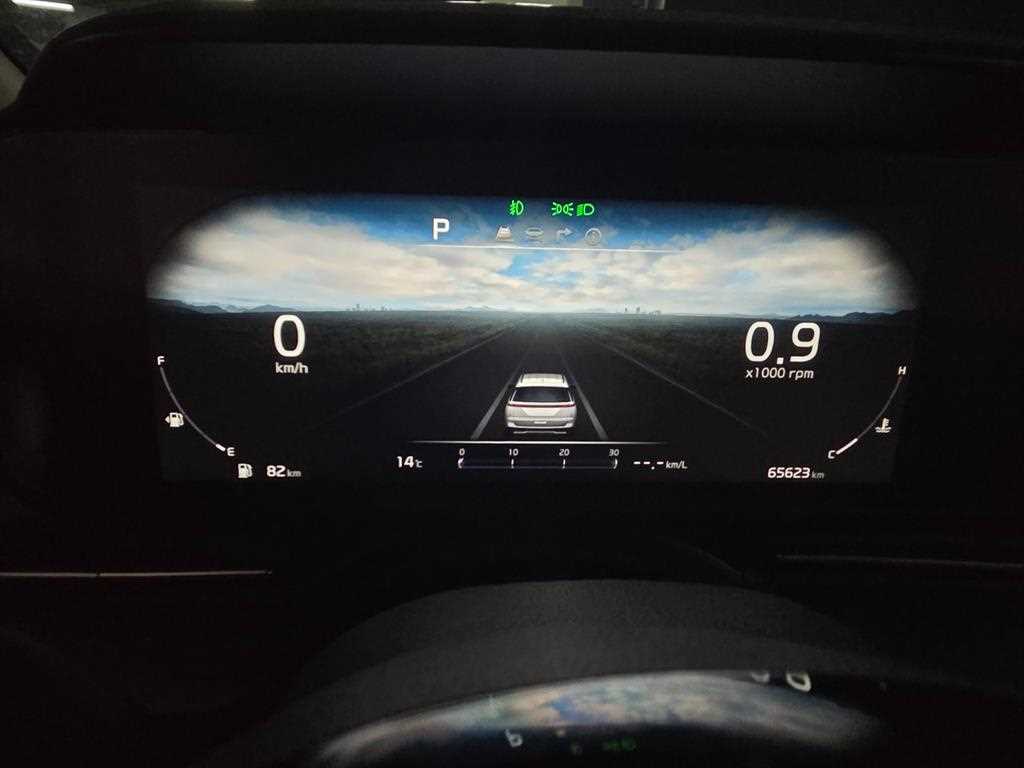 KIA Carnival - Vista 11