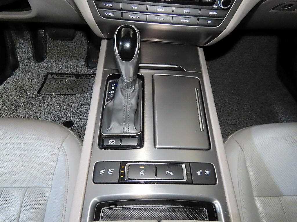 HYUNDAI Genesis - Vista 12