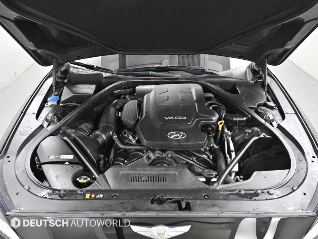 HYUNDAI Genesis - Vista 6