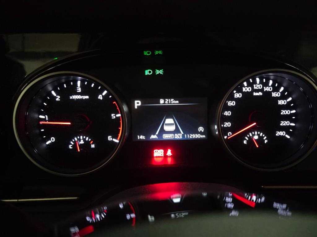 KIA Carnival - Vista 11