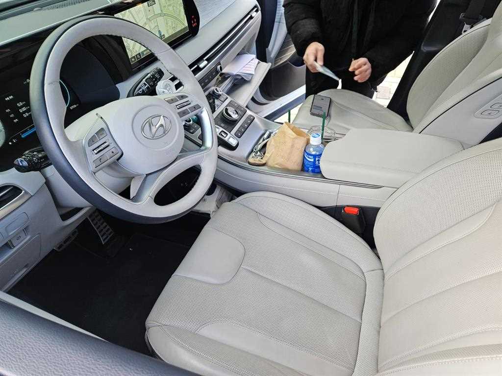 HYUNDAI Palisade - Vista 8