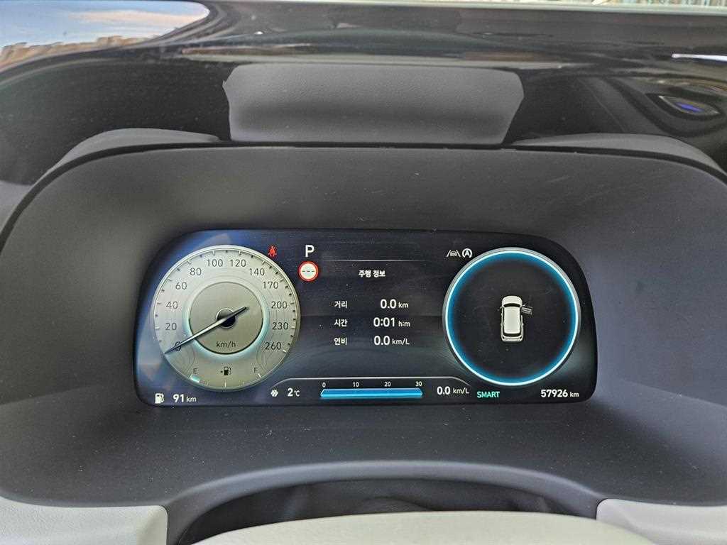 HYUNDAI Palisade - Vista 10