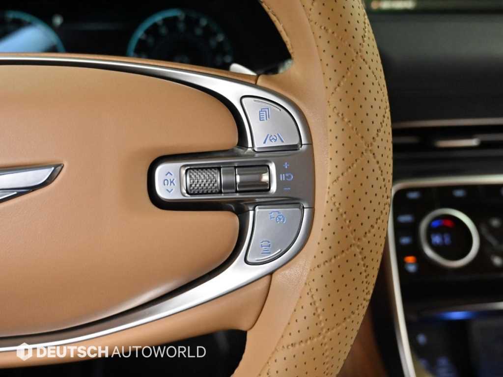 Genesis GV80 - Vista 12