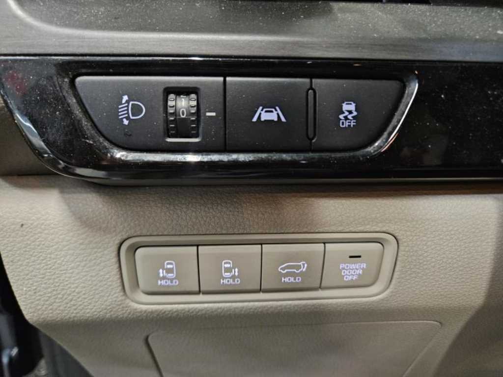 KIA Carnival - Vista 12