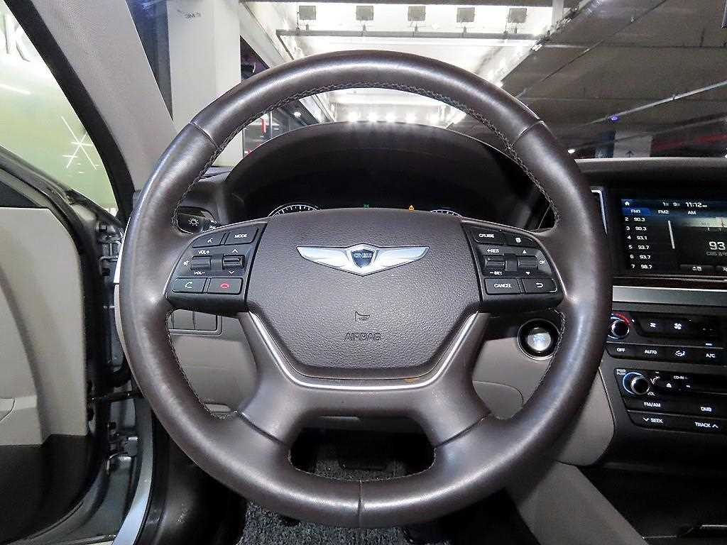 HYUNDAI Genesis - Vista 8