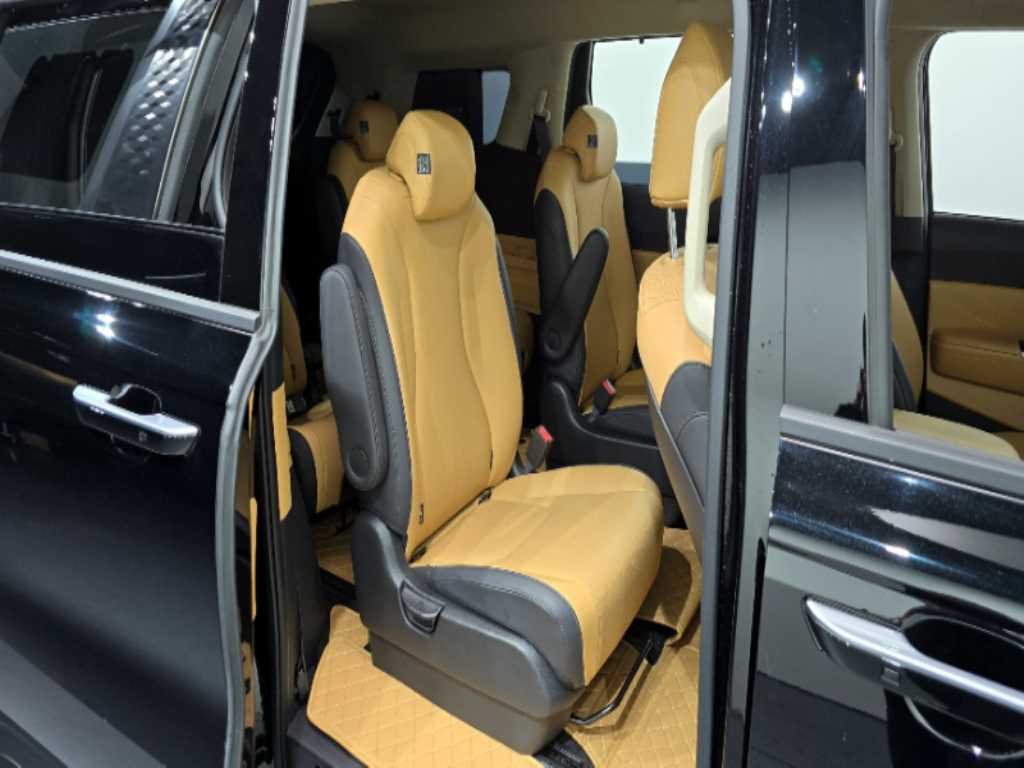 KIA Carnival - Vista 12