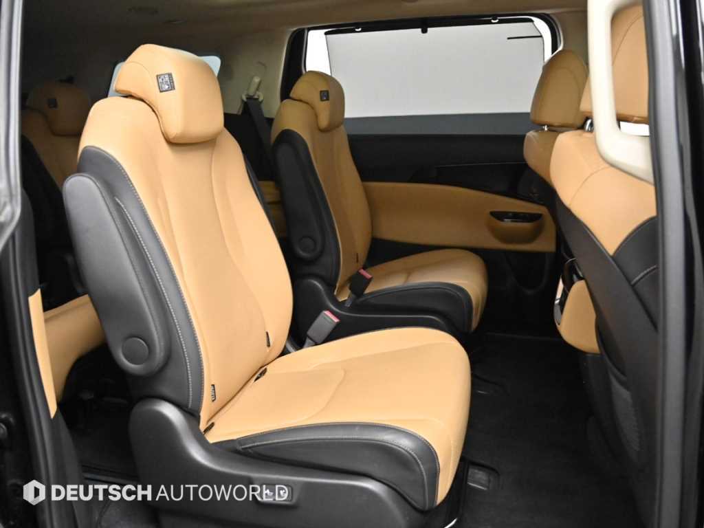 KIA Carnival - Vista 12