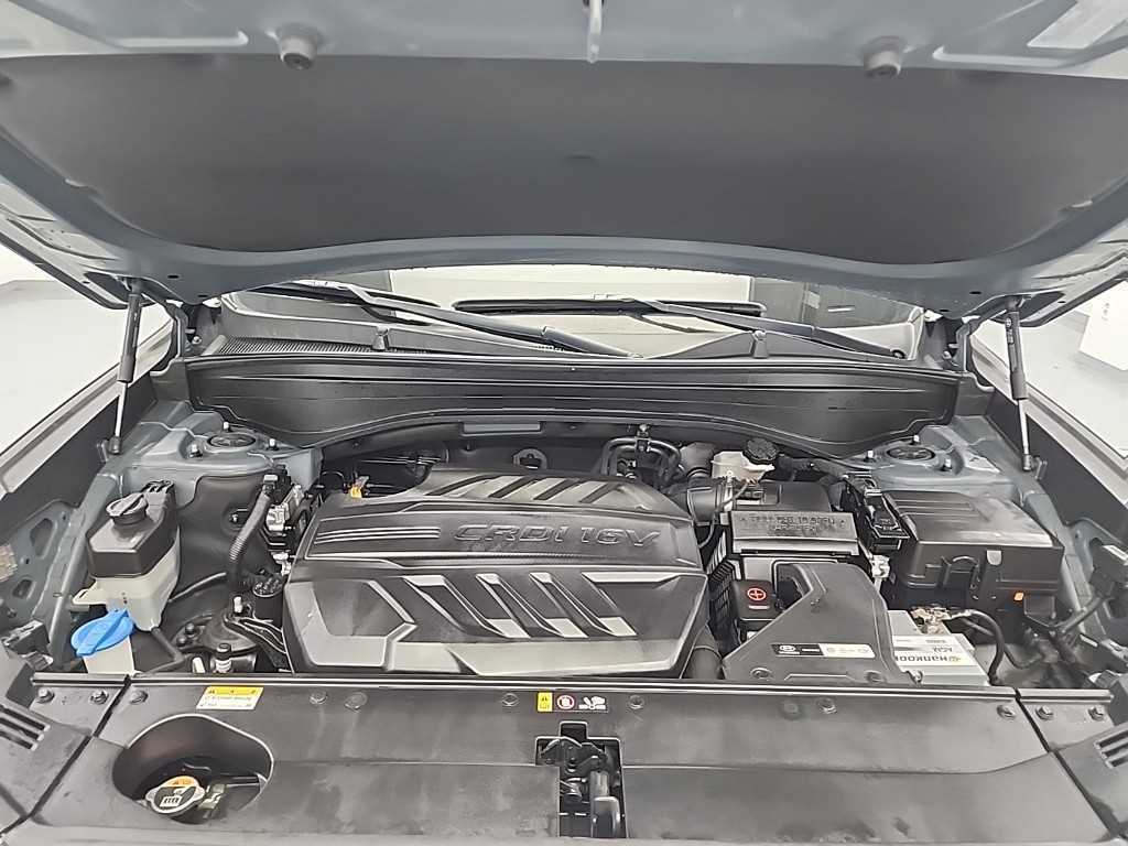 HYUNDAI Palisade - Vista 5