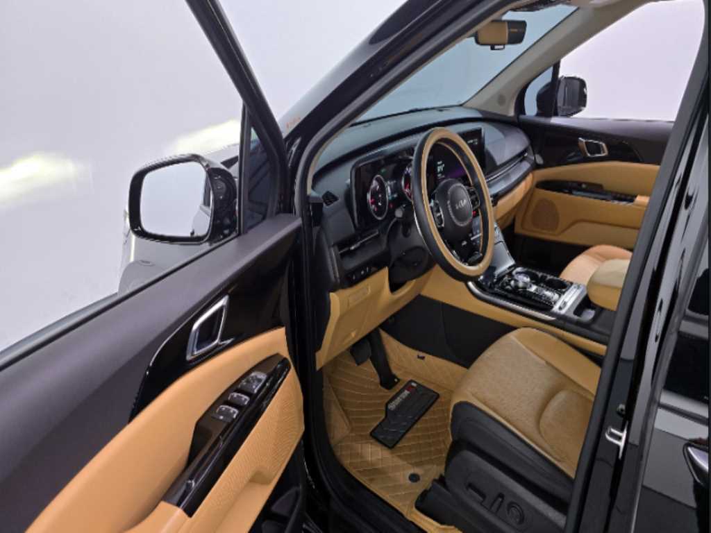 KIA Carnival - Vista 10