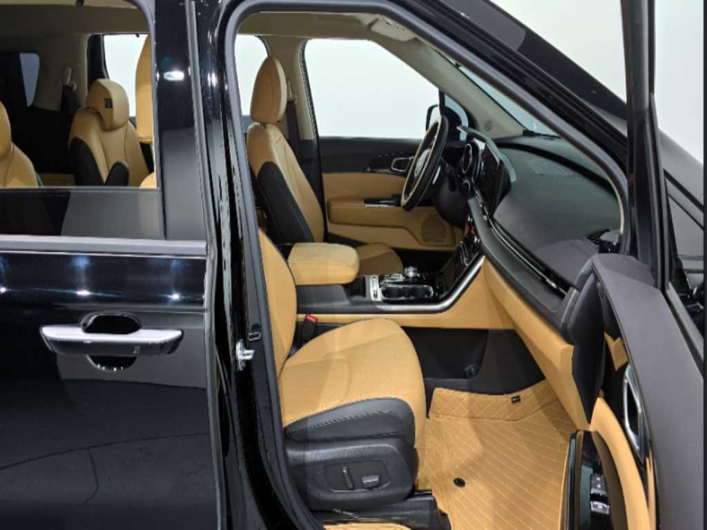 KIA Carnival - Vista 11