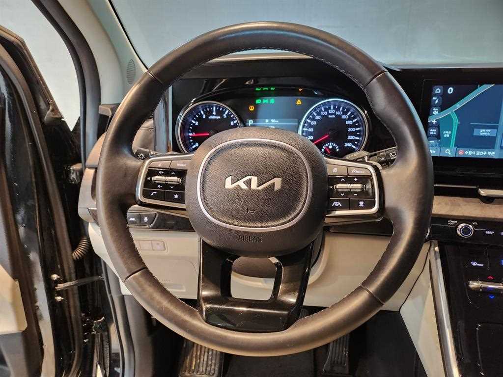 KIA Carnival - Vista 9