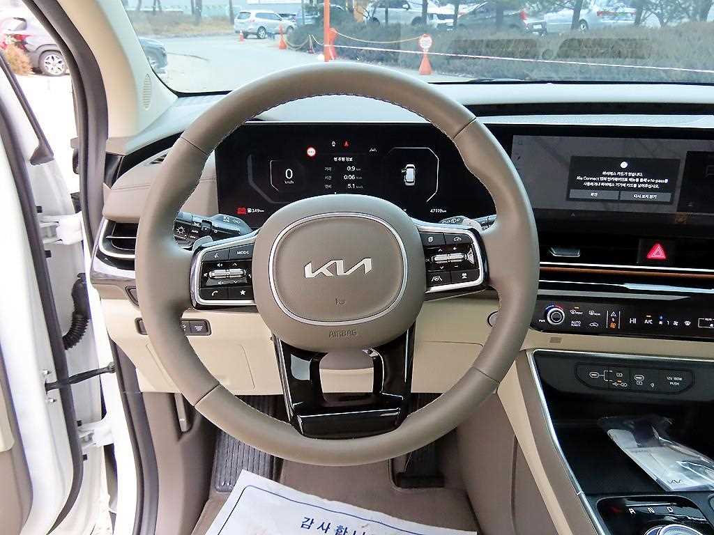 KIA Carnival - Vista 8