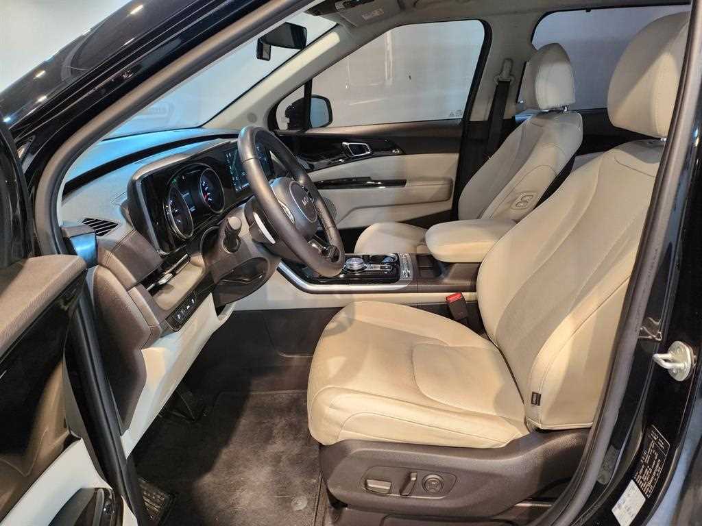 KIA Carnival - Vista 12