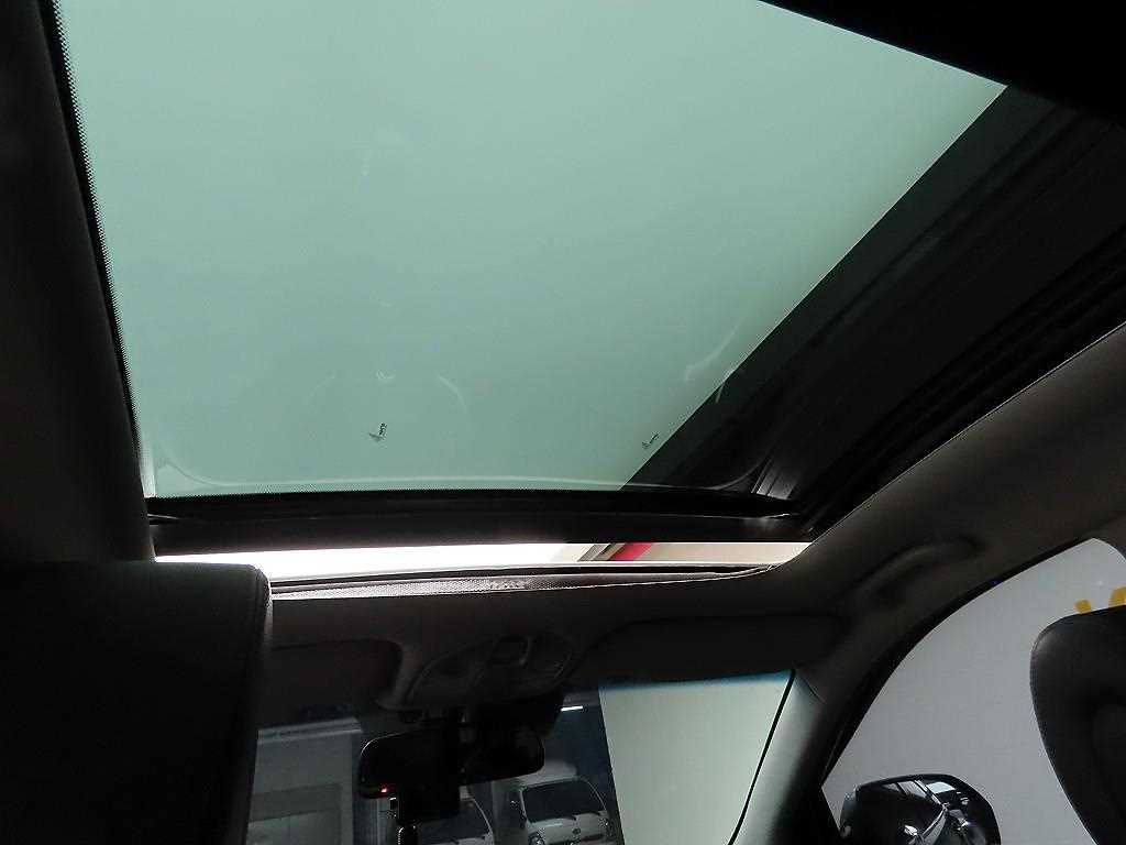 HYUNDAI Maxcruz - Vista 11