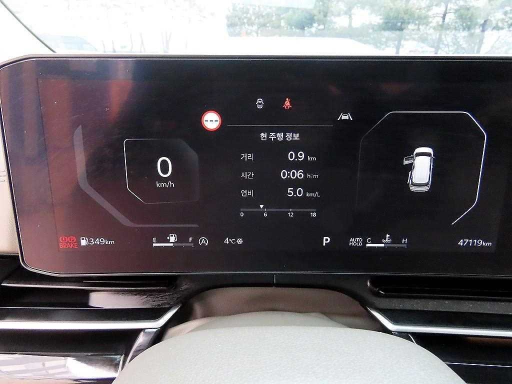 KIA Carnival - Vista 9