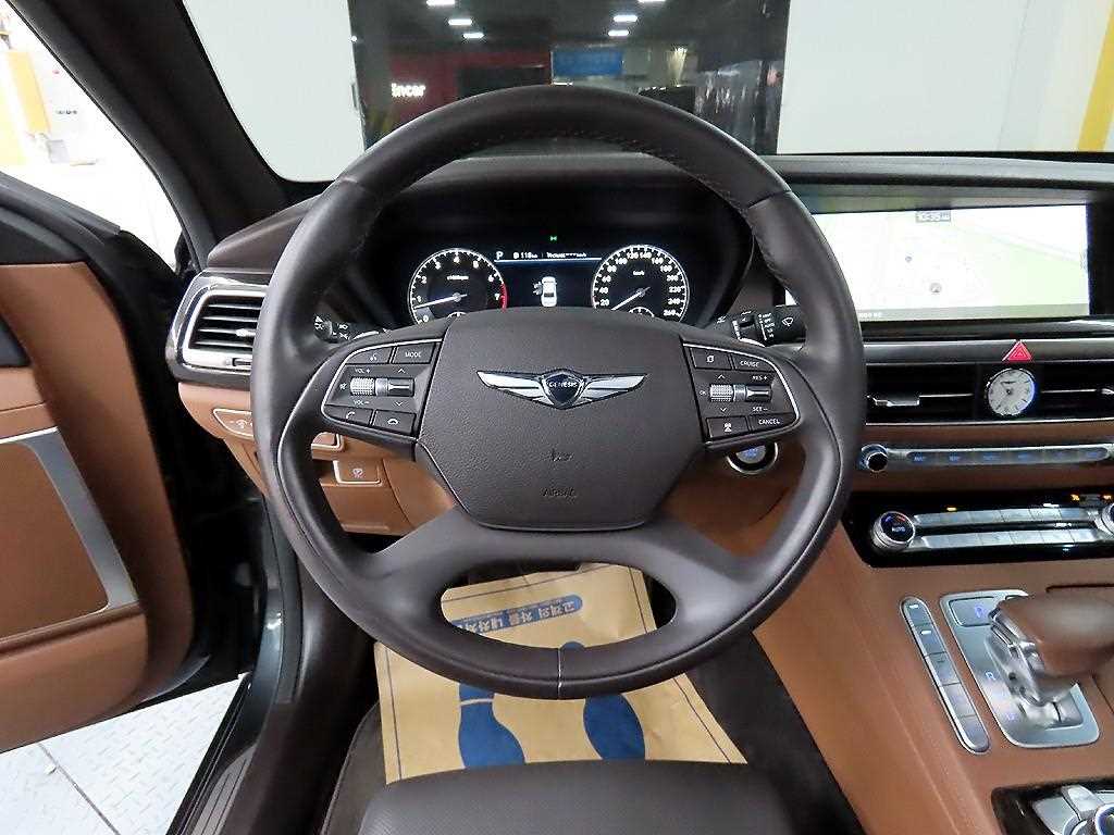 Genesis G90 - Vista 9