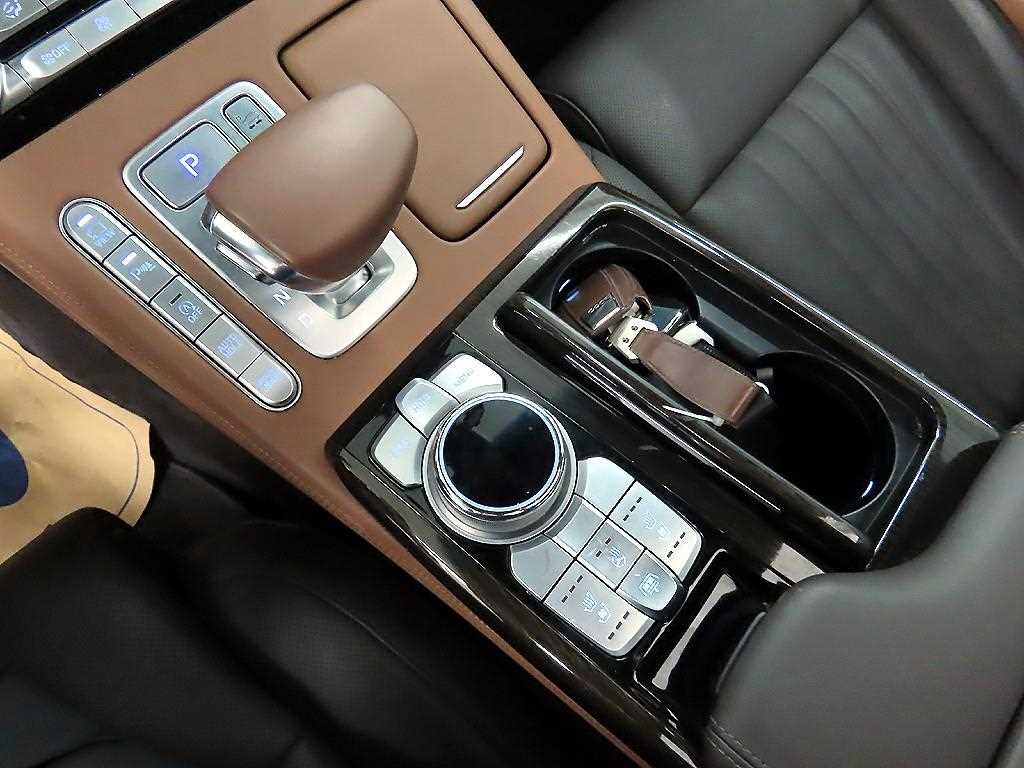 Genesis G90 - Vista 10