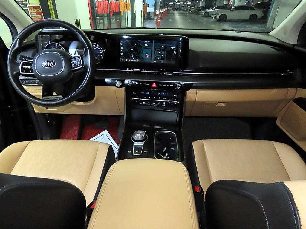 KIA Carnival - Vista 10