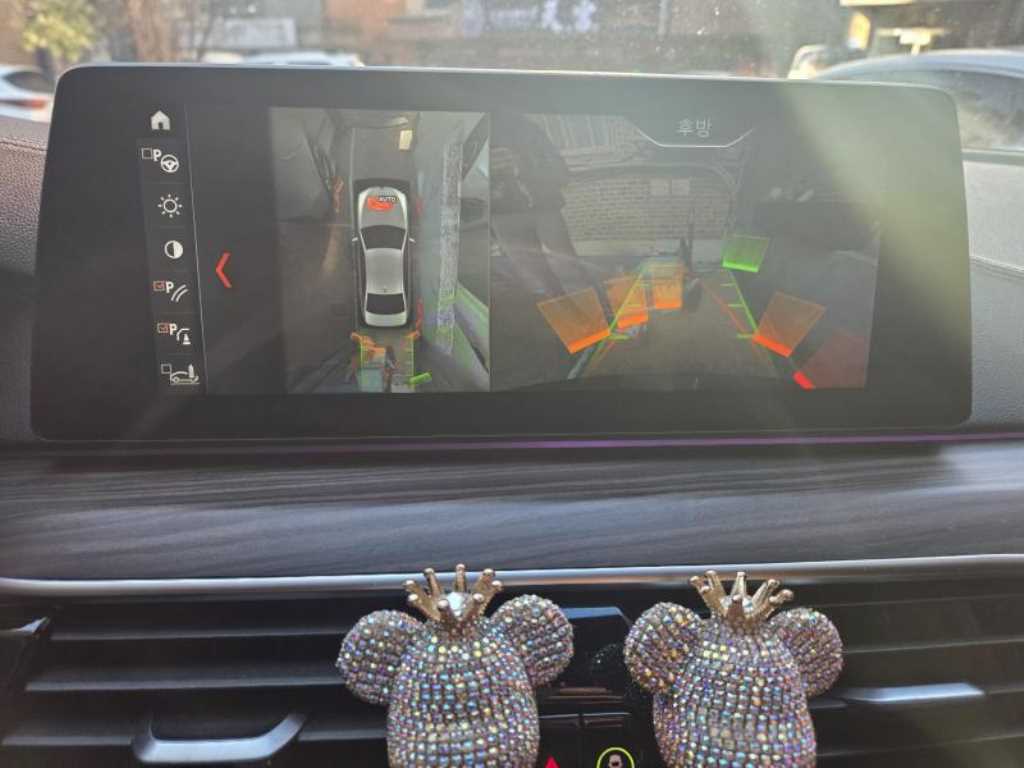 BMW 5 Series - Vista 8