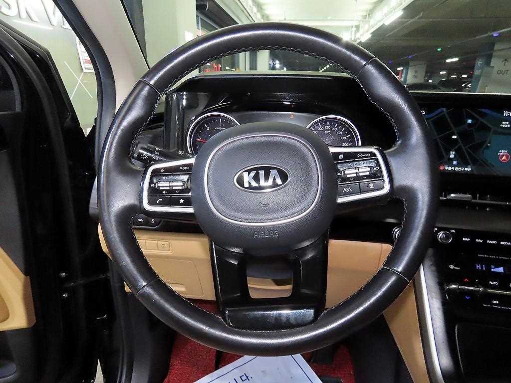 KIA Carnival - Vista 8