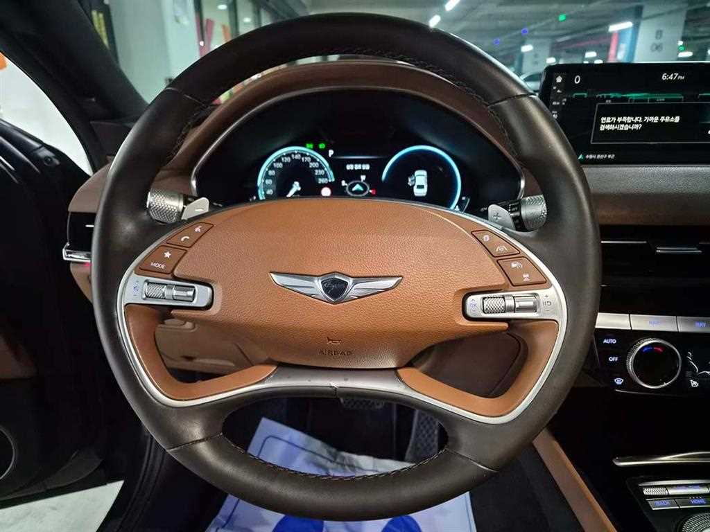 Genesis G80 - Vista 9