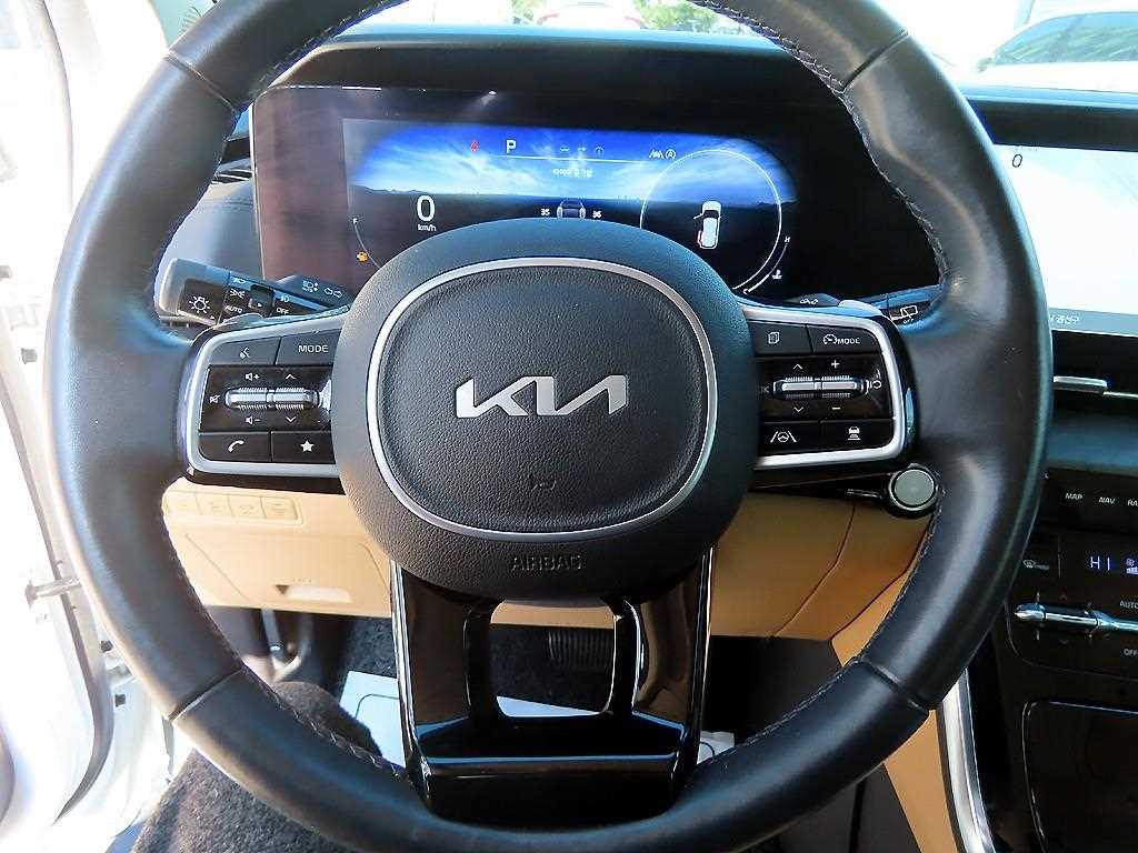 KIA Carnival - Vista 8