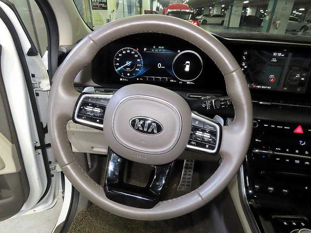 KIA Carnival - Vista 8