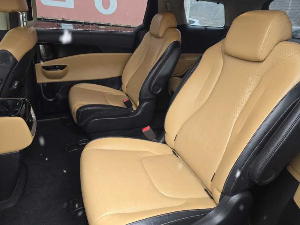 KIA Carnival - Vista 9