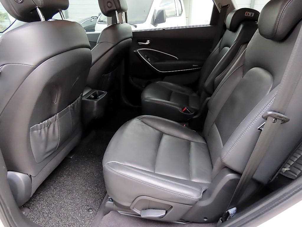 HYUNDAI Maxcruz - Vista 6