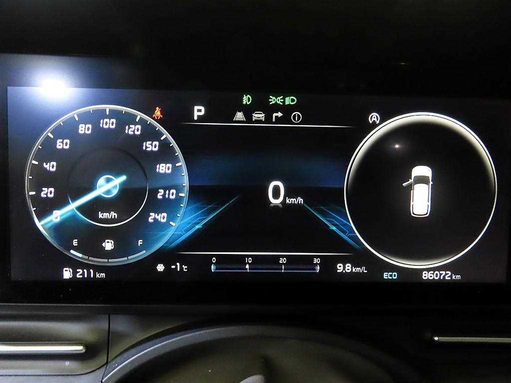 KIA Carnival - Vista 9