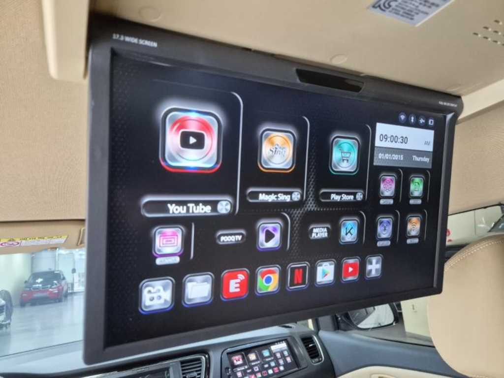 KIA Carnival - Vista 12