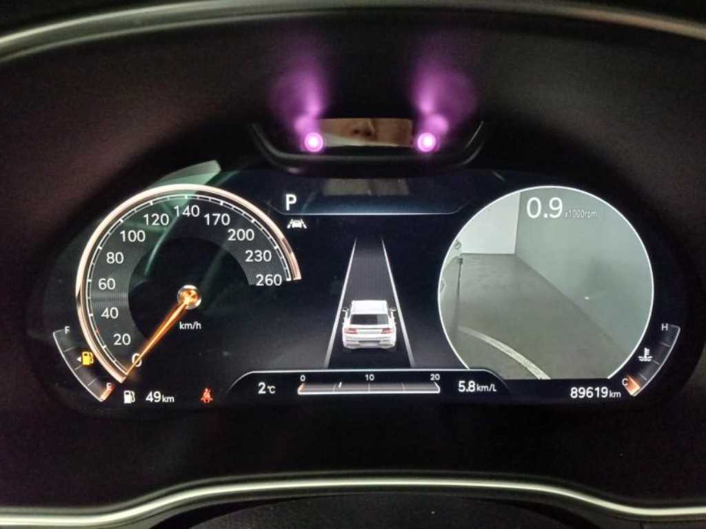 Genesis GV80 - Vista 10