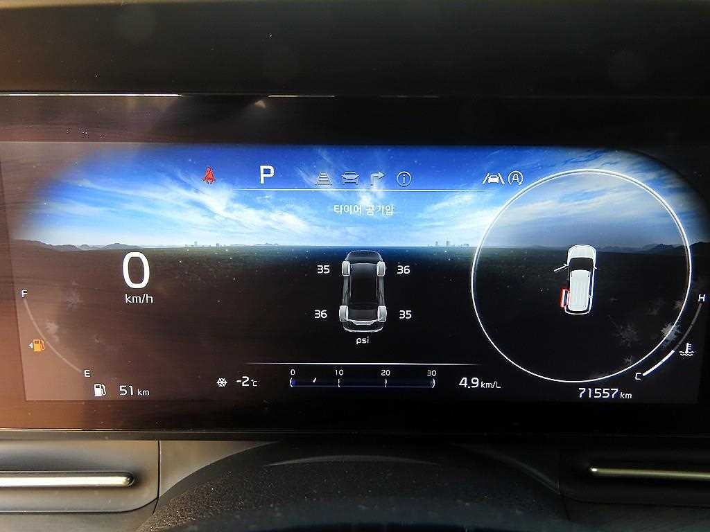 KIA Carnival - Vista 9