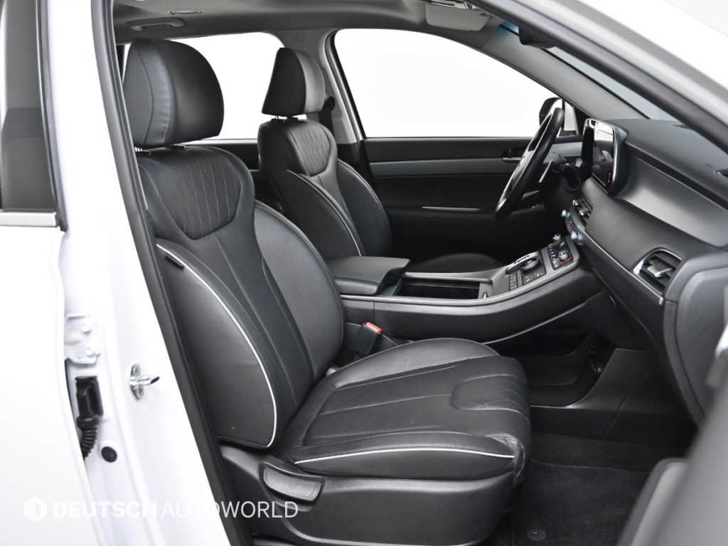 HYUNDAI Palisade - Vista 10