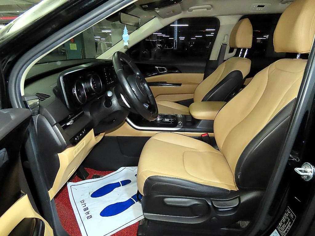 KIA Carnival - Vista 6